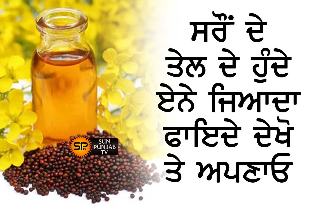 ਕੀ ਤੁਹਾਨੂੰ ਪਤਾ ਸਰੋਂ ਦੇ ਤੇਲ ਦੇ ਏਨੇ ਫਾਇਦੇ ਹੁੰਦੇ ਜੇਕਰ ਨਹੀਂ ਪੜੋ ਇਹ ਸਾਰੇ ਨੁਕਤੇ